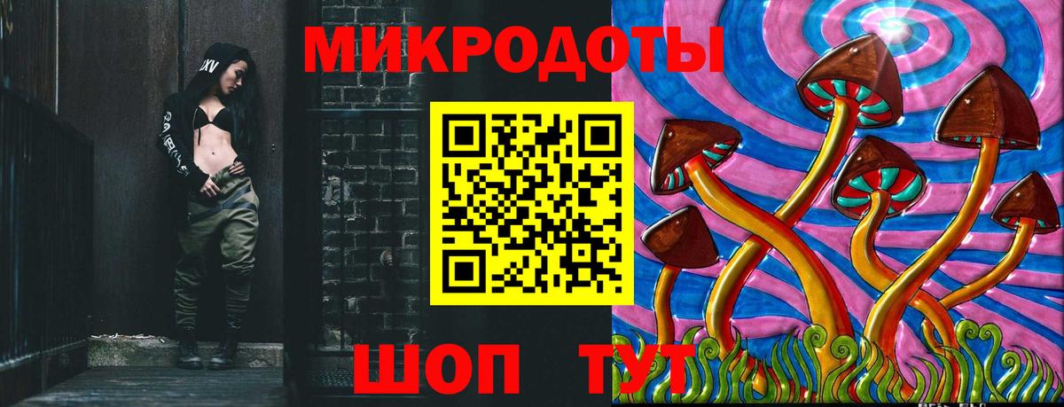 Псилоцибиновые грибы Psilocybine cubensis Кольчугино